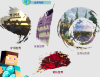 110419psy0xqxghas7iiag.png