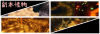 dungeon_promote.png