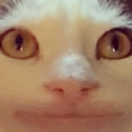 MikeWHK