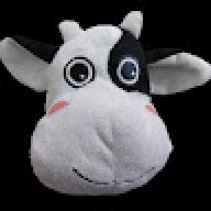 littlecow