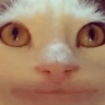 MikeWHK