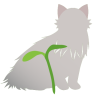catbud_net